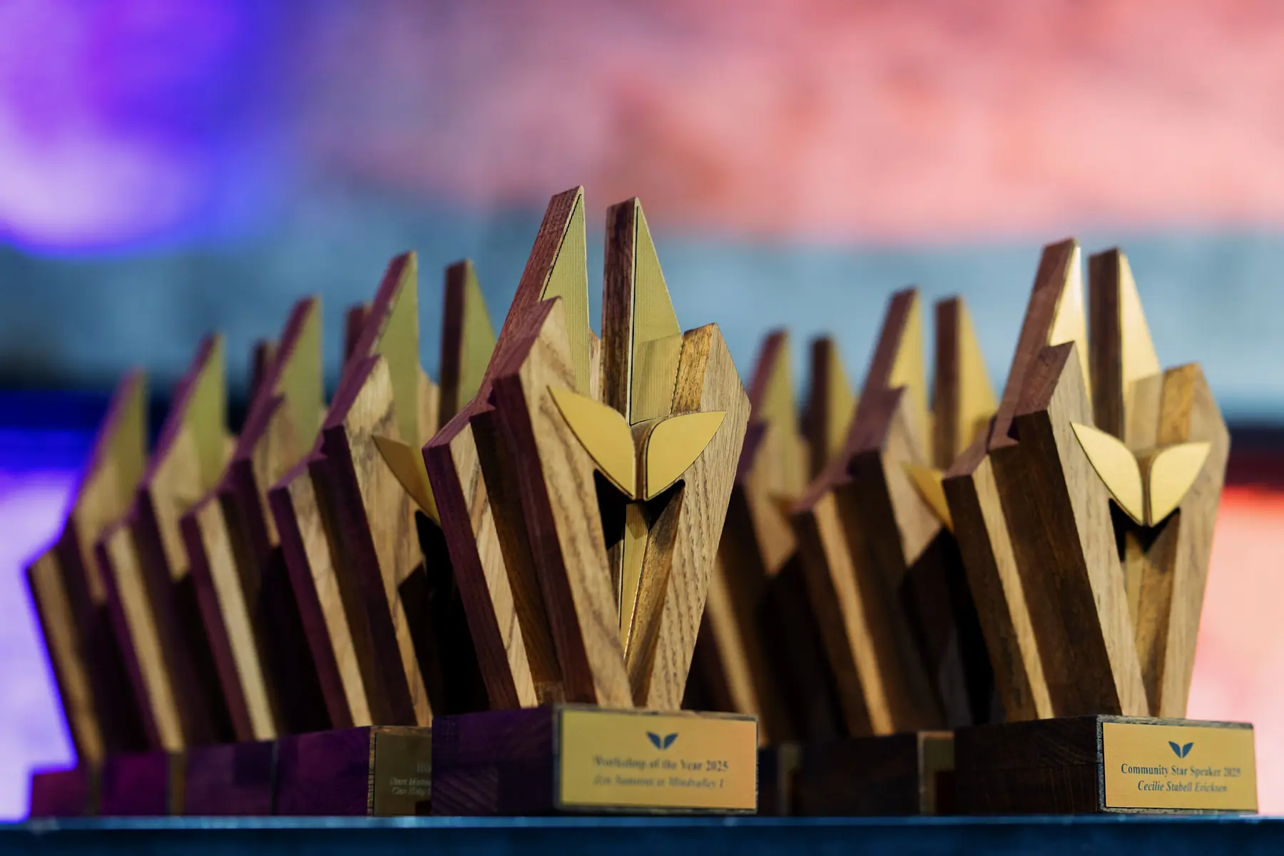 Mindvalley awards