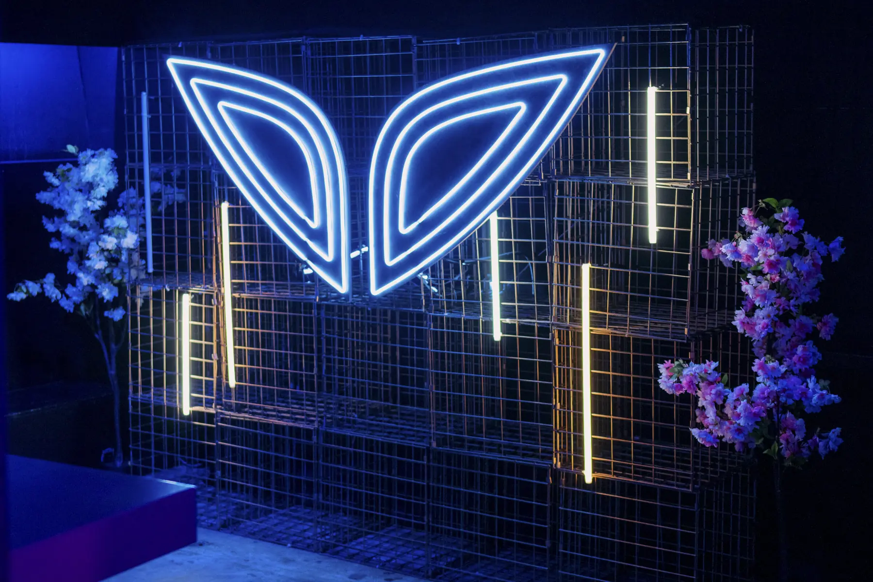 Neon wings installation
