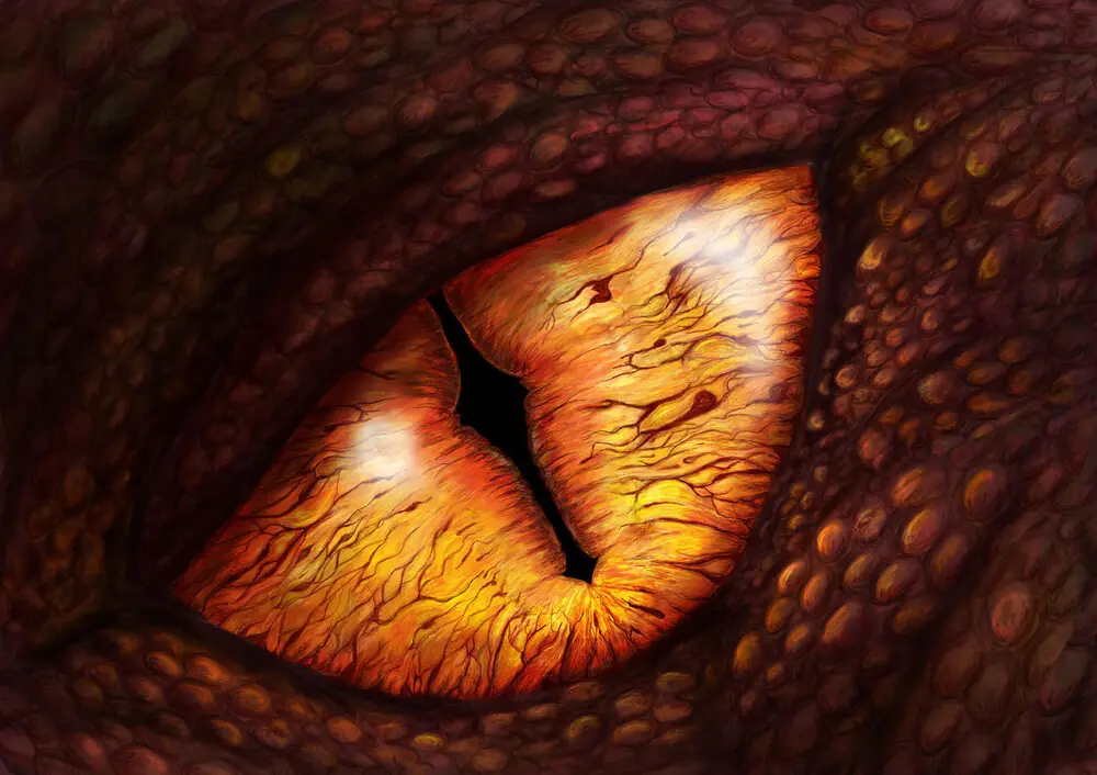Dragon eye — painting