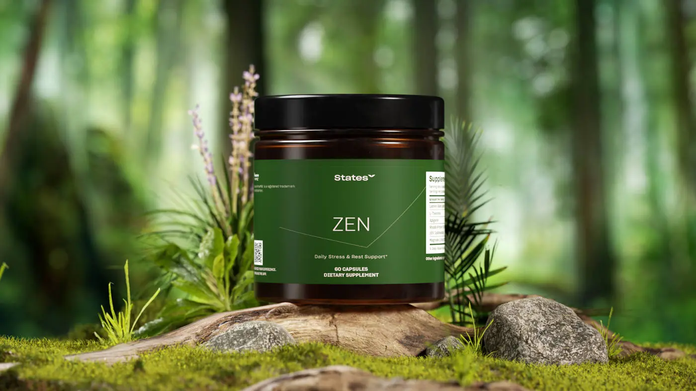 Zen jar in a forest