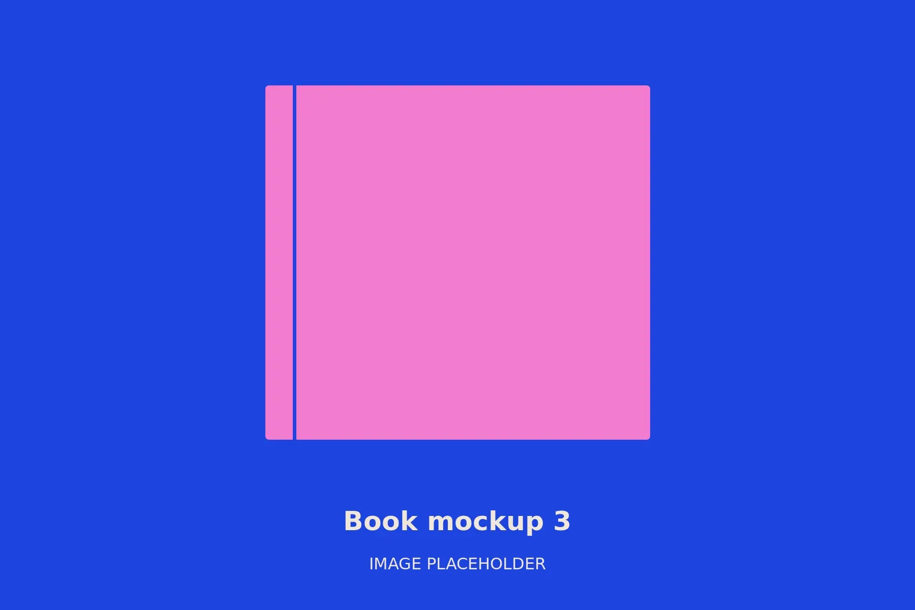 Book mockup 3