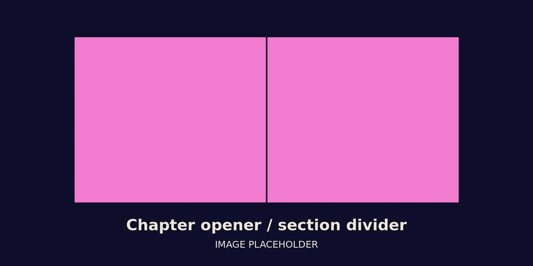 Chapter opener / section divider